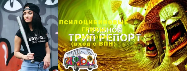 spice Сосновка